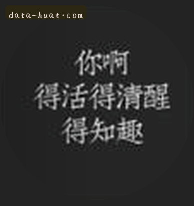 赵婷